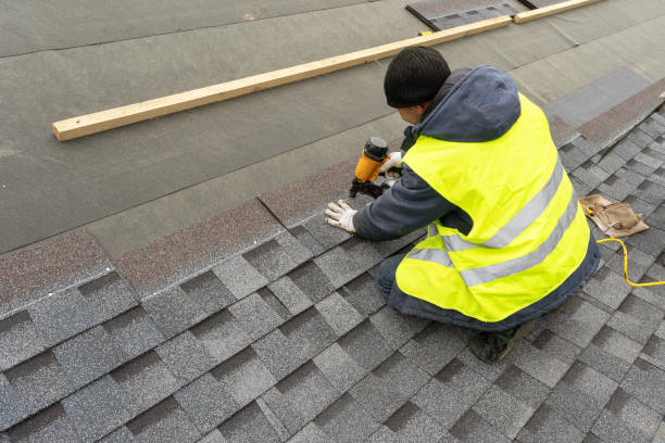 Best Roof Gutter Cleaning  in Ponce Inlet, FL